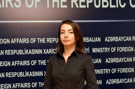 Leyla Abdullayeva: "Avropa İttifaqı ilə Azərbaycan arasında yeni saziş üzrə danışıqlar üç istiqamətdə aparılır"