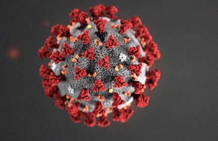 Найдено новое средство от коронавируса