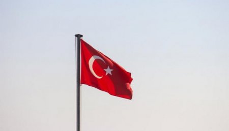 Türkiyə səfirliyi Hidayət Heydərovu Olimpiya çempionu olması münasibətilə təbrik edib