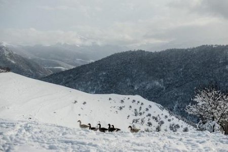В Азербайджане выпал снег