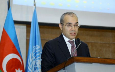 Mikayıl Cabbarov: “Hazırda Azərbaycan iqtisadiyyatı dayanıqlıq nümayiş etdirir”
