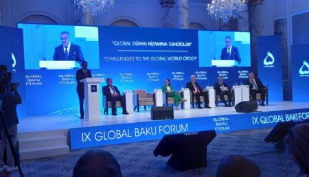 IX Bakı Beynəlxalq Forumunun ikinci günü - VİDEO