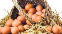 Kənd yumurtası bahalaşıb - VİDEO