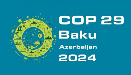 COP29 Azərbaycan Əməliyyat Şirkətinin İdarə Heyətinin sədri məlum olub