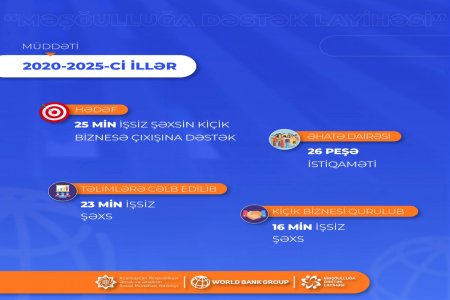 “Məşğulluğa Dəstək Layihəsi” Dünya Bankının yüksək mükafatına layiq görülüb