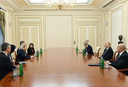 Prezident “Franklin Templeton” şirkətinin Baş icraçı direktoru və prezidenti Cenni Consonu qəbul edib (FOTO)