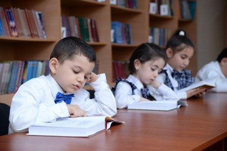 Birinci sinfə qəbulla bağlı seçimlərə start verildi
