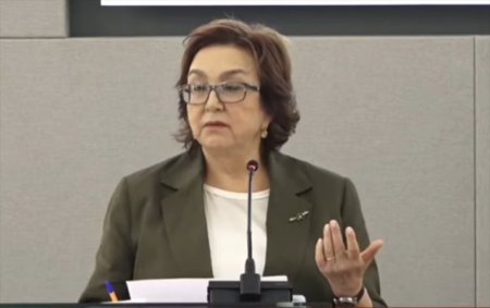 DİM sədri: Bu il ali məktəblərdə ödənişli əsaslarla olan yerlərin 90% dolacağı gözlənilir