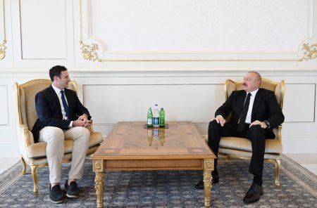 İlham Əliyev şirkət prezidentini qəbul edib