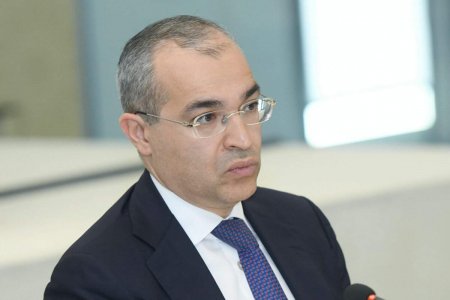 “İqtisadiyyatda 81% özəl sektorun payıdır” - Nazir