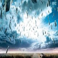 Təbiətin sürprizləri və insan ağılı: Maraqlı faktlar dünyasından