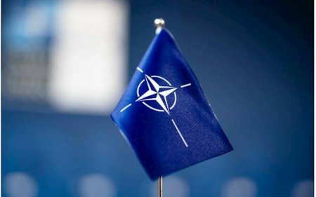 Səkkiz NATO ölkəsindən Trampa sərt cavab: Qrenlandiya ilə bağlı hədələr qəbuledilməzdir