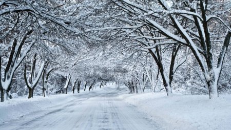 FHN müşahidə olunan kəskin hava şəraiti ilə əlaqədar əhaliyə müraciət etdi