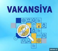 İşə düzəltmək adı ilə aldadılan vətəndaşlar – bu cinayətə kim nəzarət edir?