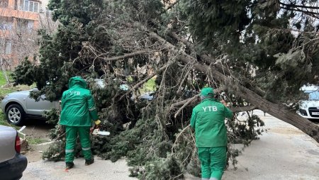 Hava şəraiti və küləyin təsirləri...