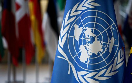 BMT Əfqanıstan-Pakistan münaqişəsində ölənlərin sayını açıqladı