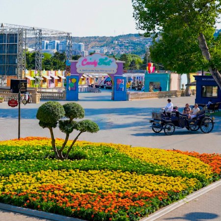 Nazirlik istilərlə bağlı əhaliyə müraciət etdi