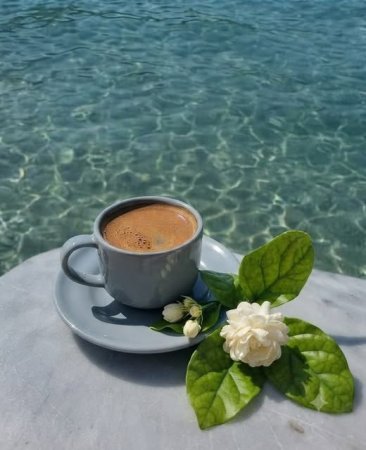 Sabahın hava proqnozu: 37 dərəcə isti