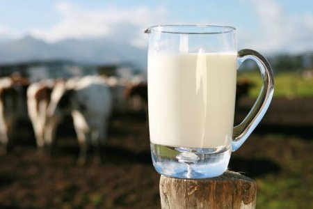 Azərbaycan süd və qaymaq idxalına çəkdiyi xərci 63 %-dən çox artırıb
