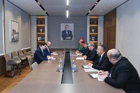 Səfiri etimadnaməsini Ceyhun Bayramova təqdim edib