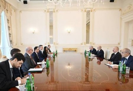 Prezident İlham Əliyev Böyük Britaniyanın ticarət üzrə dövlət nazirini qəbul edib (FOTO)