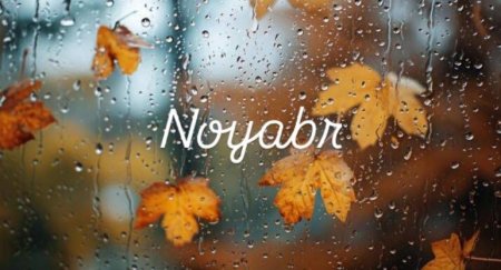 Noyabrda 11 gün iş olmayacaq